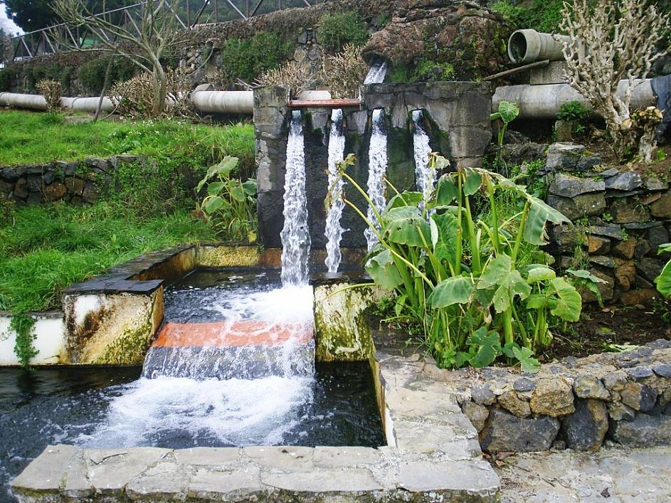 Foto de Tenerife (Santa Cruz de Tenerife), España