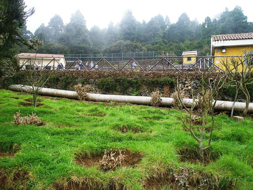Foto de Tenerife (Santa Cruz de Tenerife), España