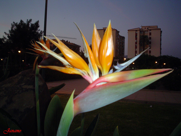 Foto de Málaga (Andalucía), España