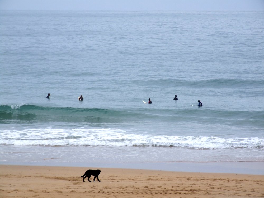 Foto de Santander (Cantabria), España