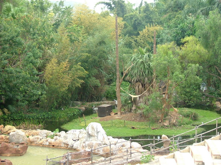 Foto de Águilas del Teide (Santa Cruz de Tenerife), España