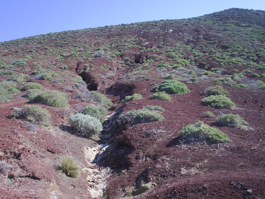 Foto de El Médano-Tenerife (Santa Cruz de Tenerife), España