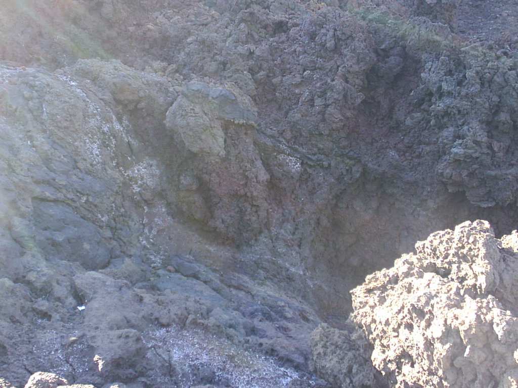 Foto de El Médano-Tenerife (Santa Cruz de Tenerife), España