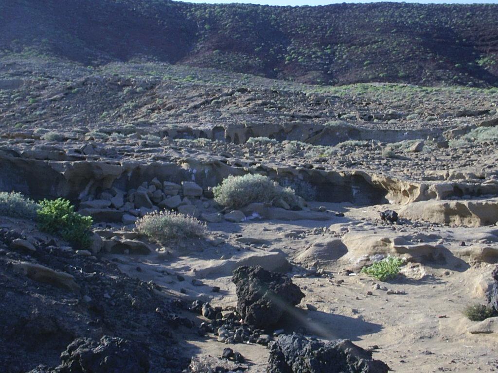 Foto de El Médano-Tenerife (Santa Cruz de Tenerife), España