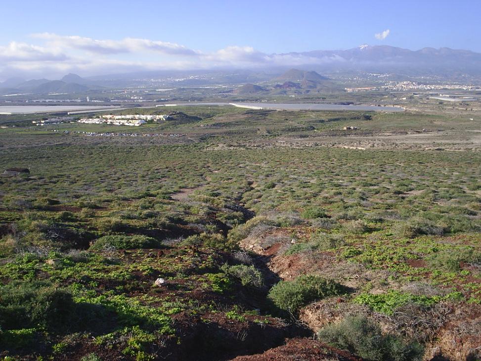 Foto de El Médano-Tenerife (Santa Cruz de Tenerife), España