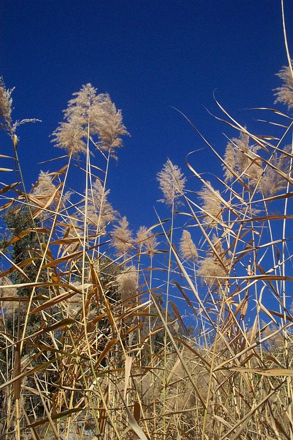 Foto de Canjáyar (Almería), España