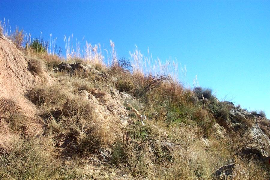 Foto de Canjáyar (Almería), España