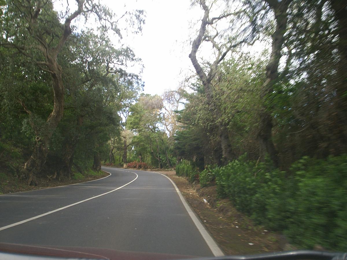 Foto de La Laguna (Santa Cruz de Tenerife), España