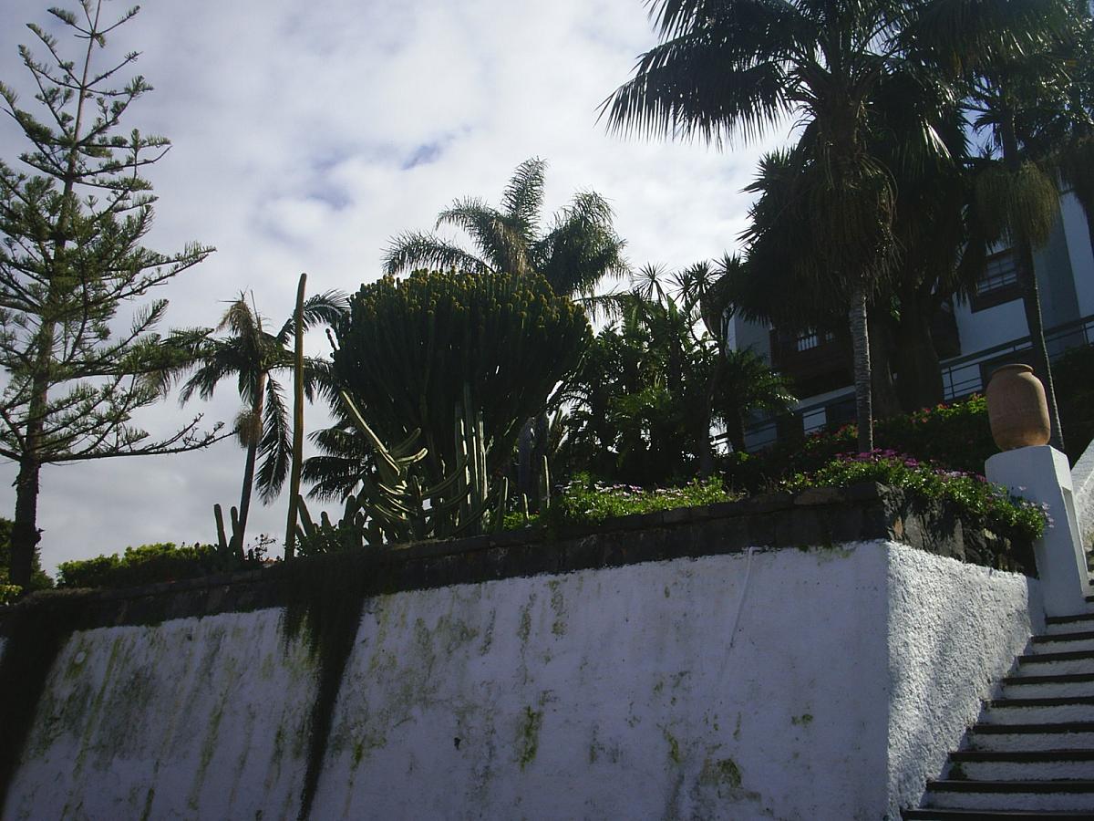 Foto de El Sauzal (Santa Cruz de Tenerife), España