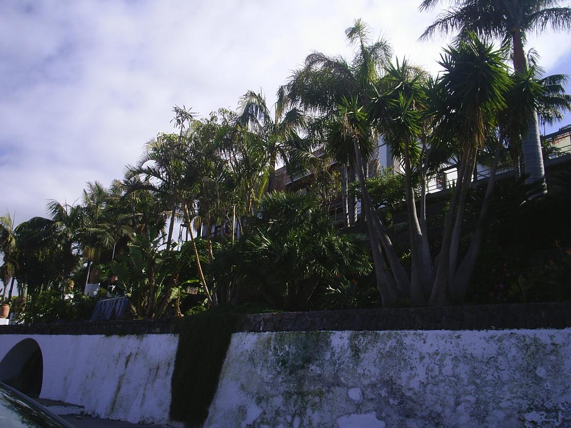 Foto de El Sauzal (Santa Cruz de Tenerife), España
