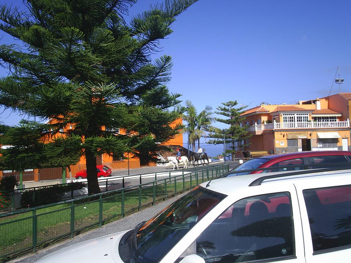 Foto de El Sauzal (Santa Cruz de Tenerife), España