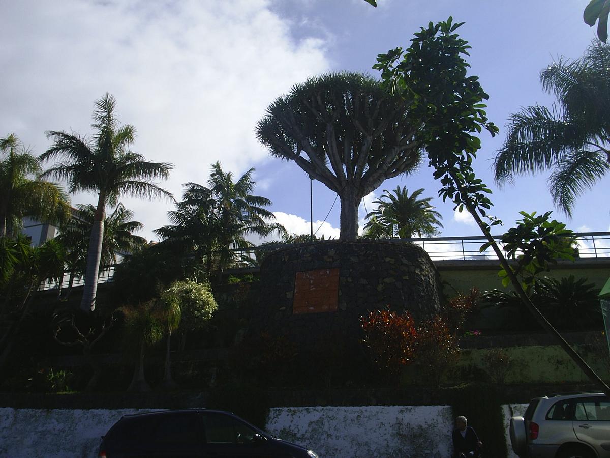 Foto de El Sauzal (Santa Cruz de Tenerife), España