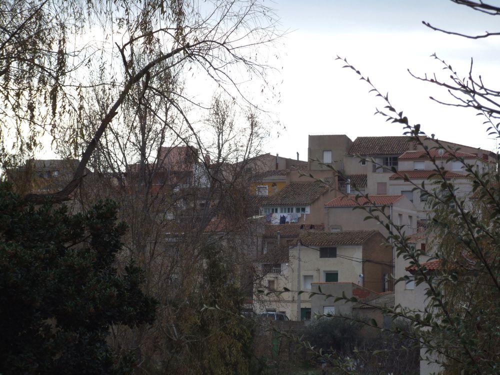Foto de Elche de la Sierra (Albacete), España