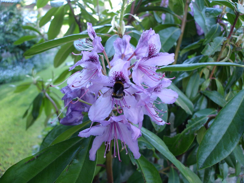 Foto de San Carlos de Bariloche, Argentina