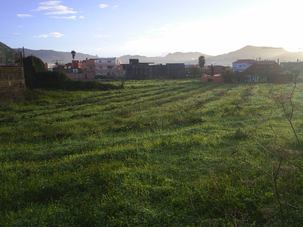 Foto de La Laguna (Santa Cruz de Tenerife), España