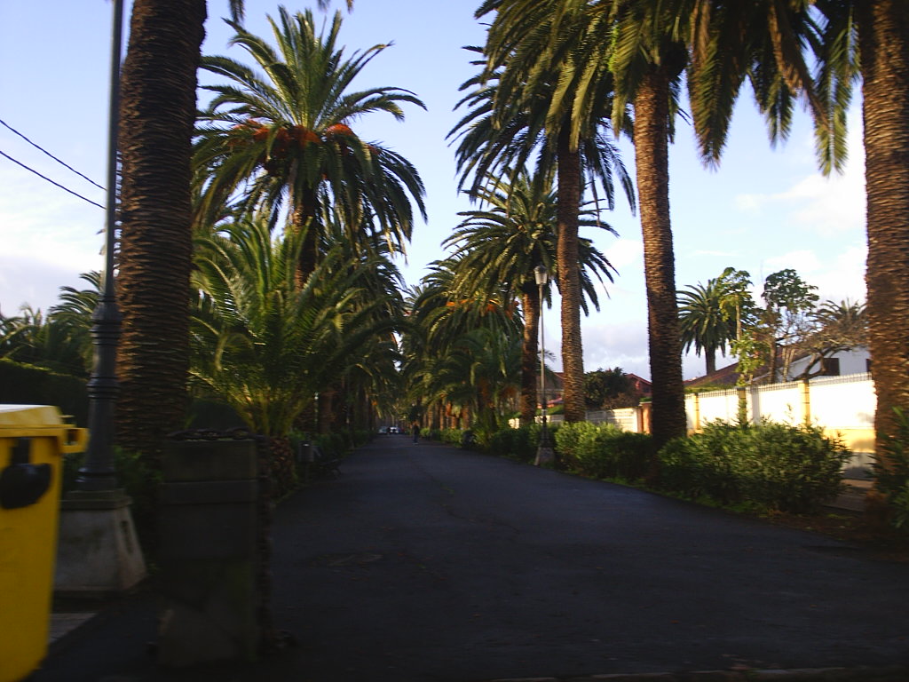 Foto de La Laguna (Santa Cruz de Tenerife), España