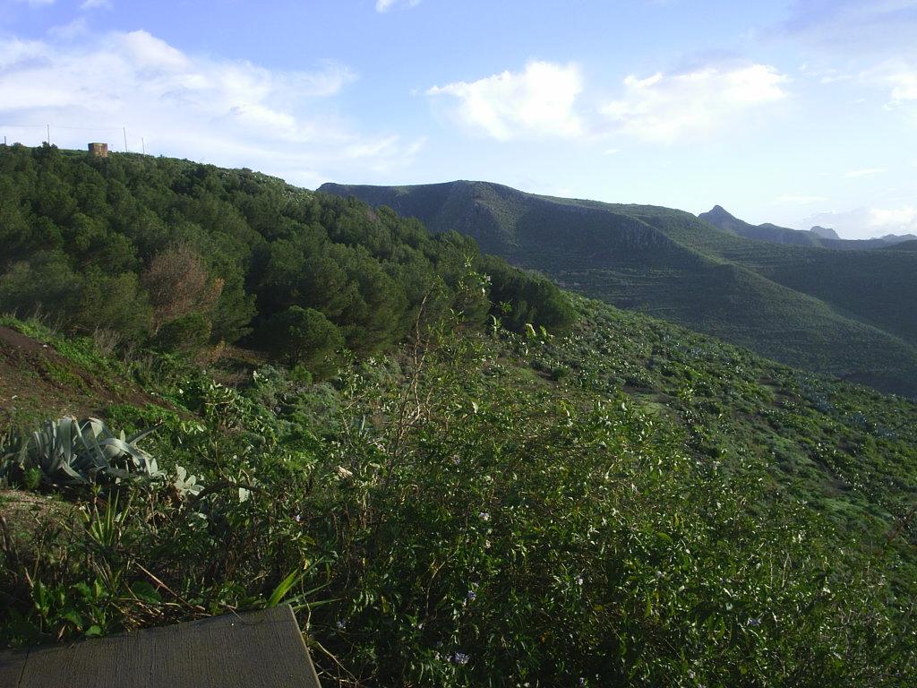 Foto de La Laguna (Santa Cruz de Tenerife), España