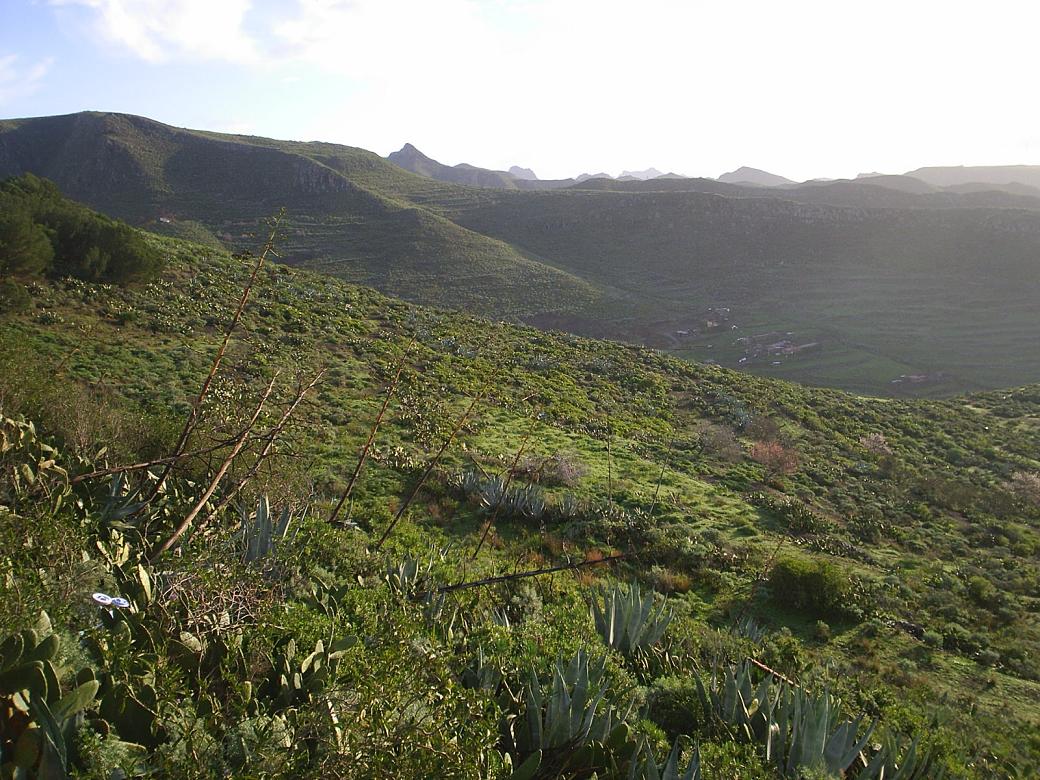 Foto de La Laguna (Santa Cruz de Tenerife), España