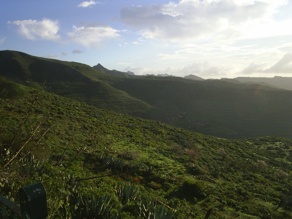 Foto de La Laguna (Santa Cruz de Tenerife), España