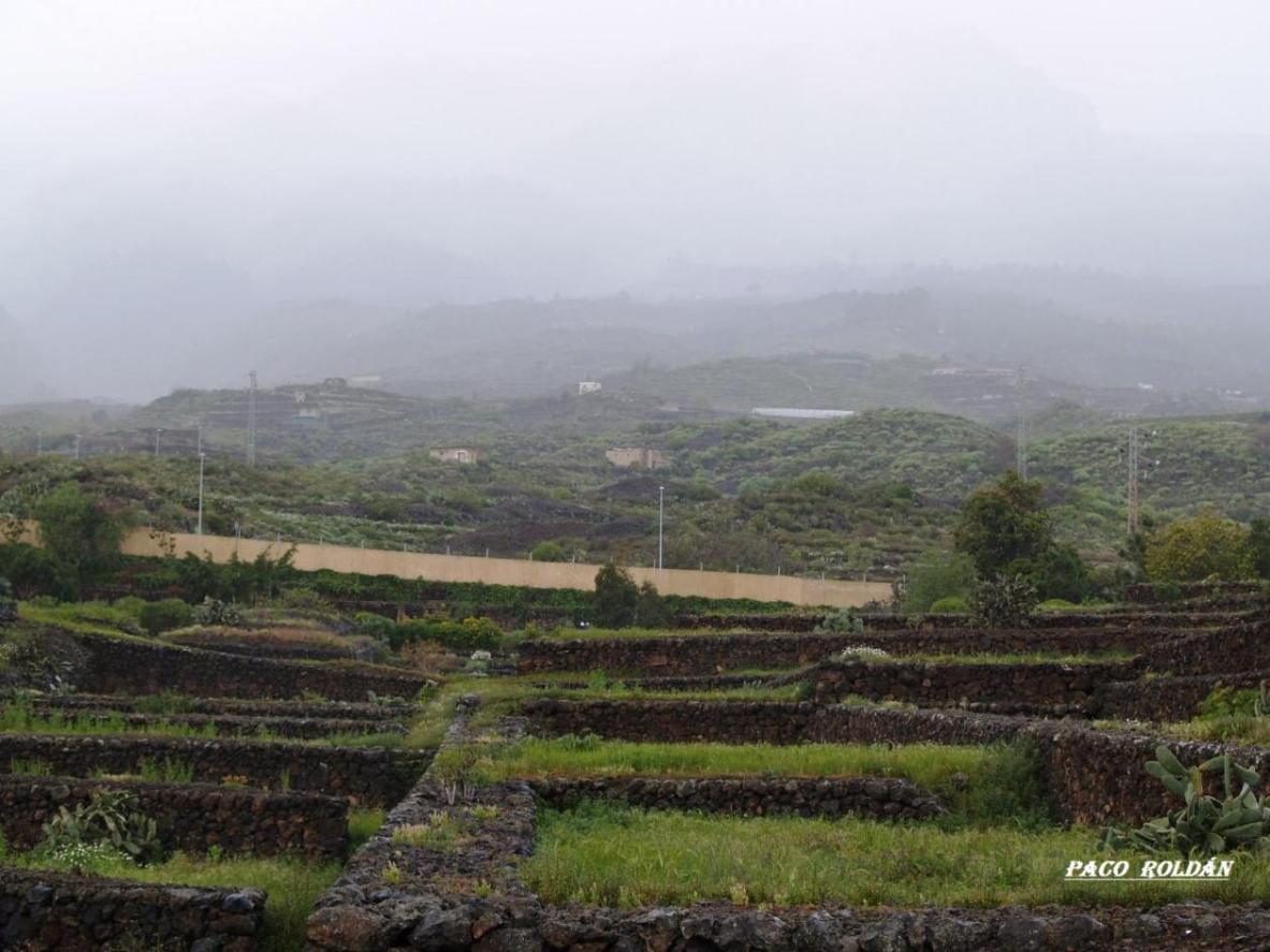 Foto de Tenerife (Santa Cruz de Tenerife), España