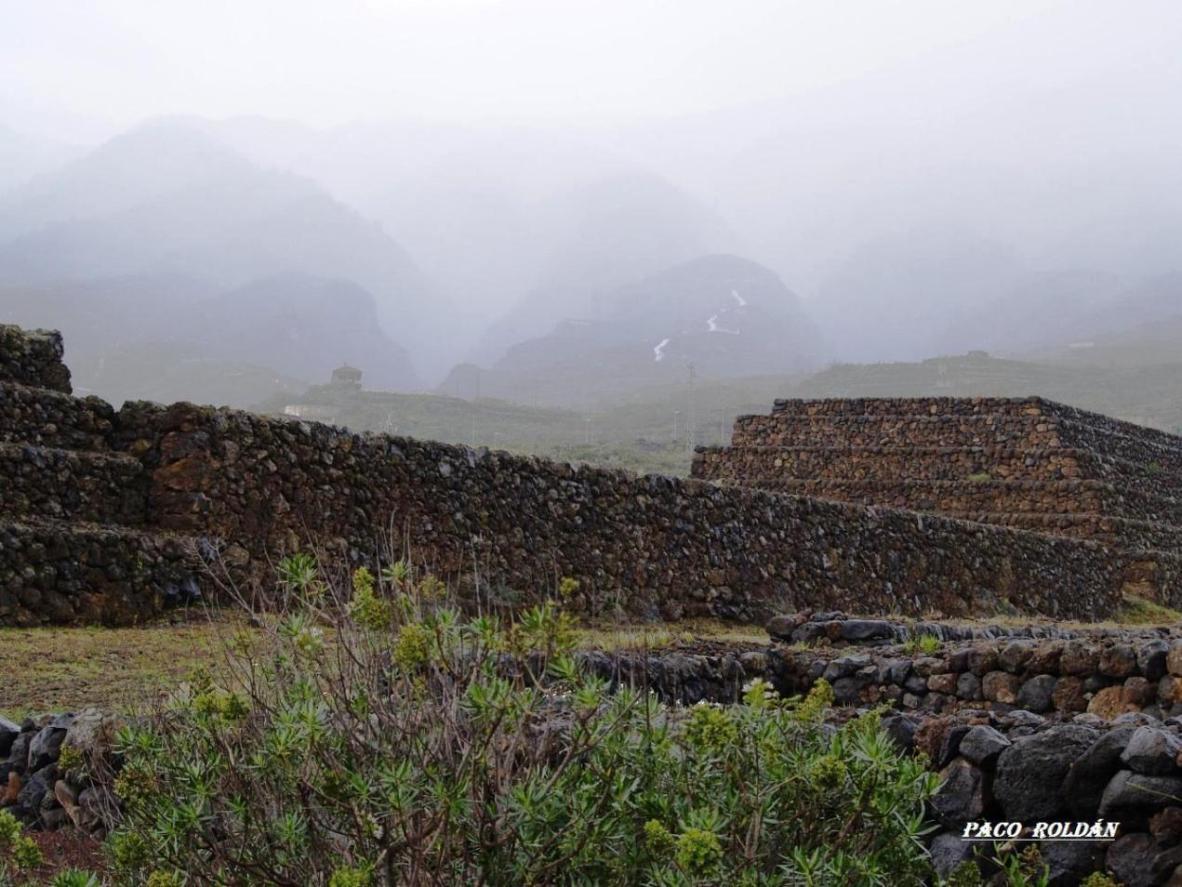 Foto de Tenerife (Santa Cruz de Tenerife), España