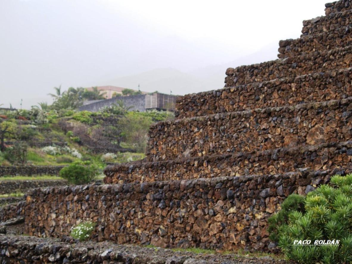 Foto de Tenerife (Santa Cruz de Tenerife), España