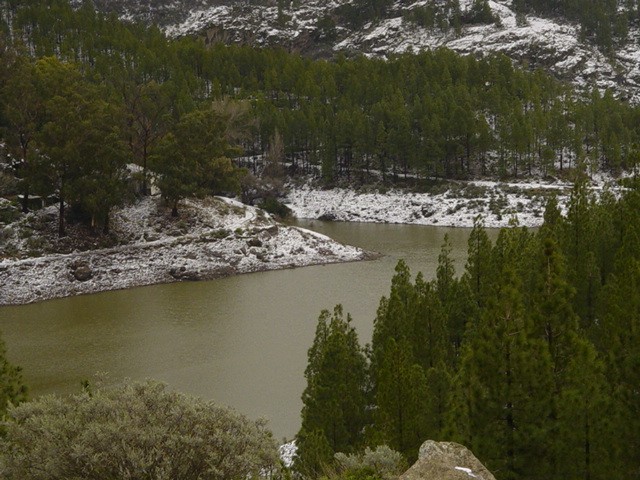 Foto de Las Palmas de Gran Canaria (Santa Cruz de Tenerife), España