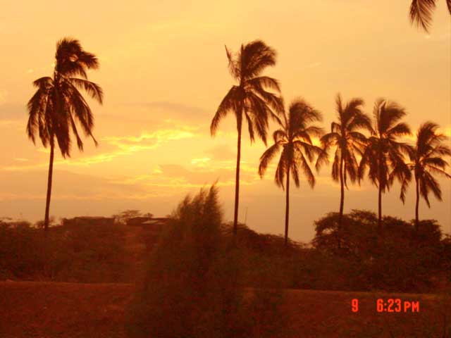 Foto de QUERECOTILLO - PIURA, Perú
