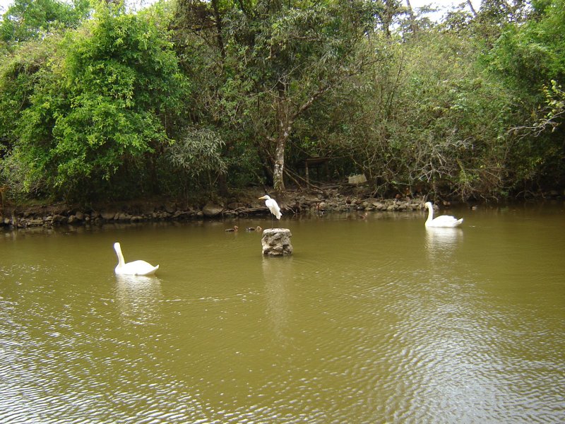 Foto de El Nispero - Valle de Anton, Panamá