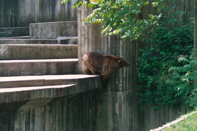Foto de Madrid (Comunidad de Madrid), España