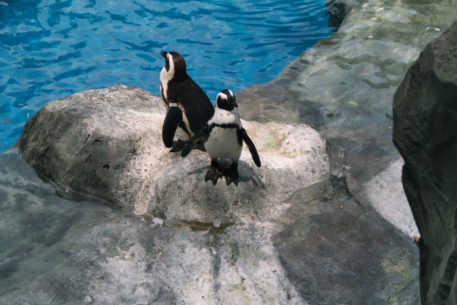 Foto de Madrid (Comunidad de Madrid), España