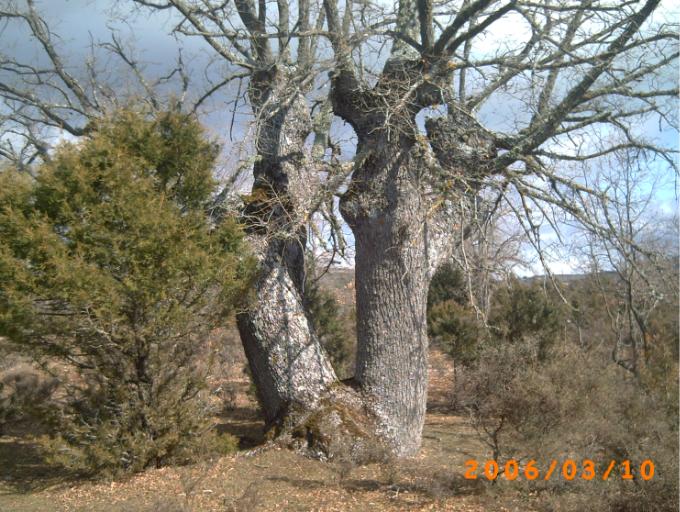 Foto de Borobia (Soria), España