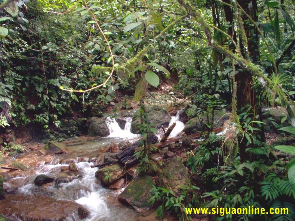 Foto de Parque Nacional de Cerro Azul Meambar, Honduras., Honduras