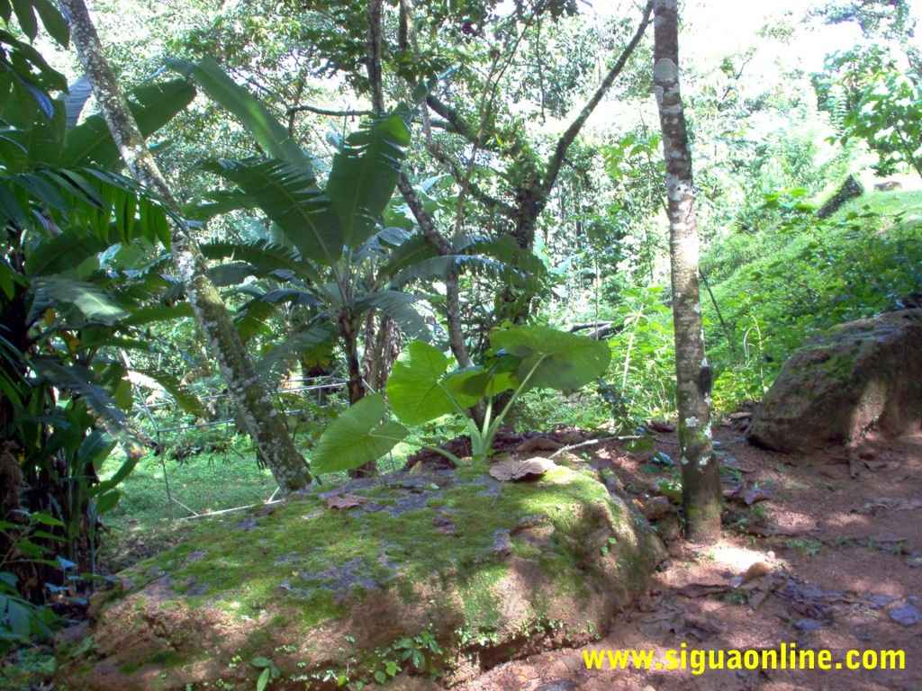 Foto de Parque Nacional de Cerro Azul Meambar, Honduras., Honduras