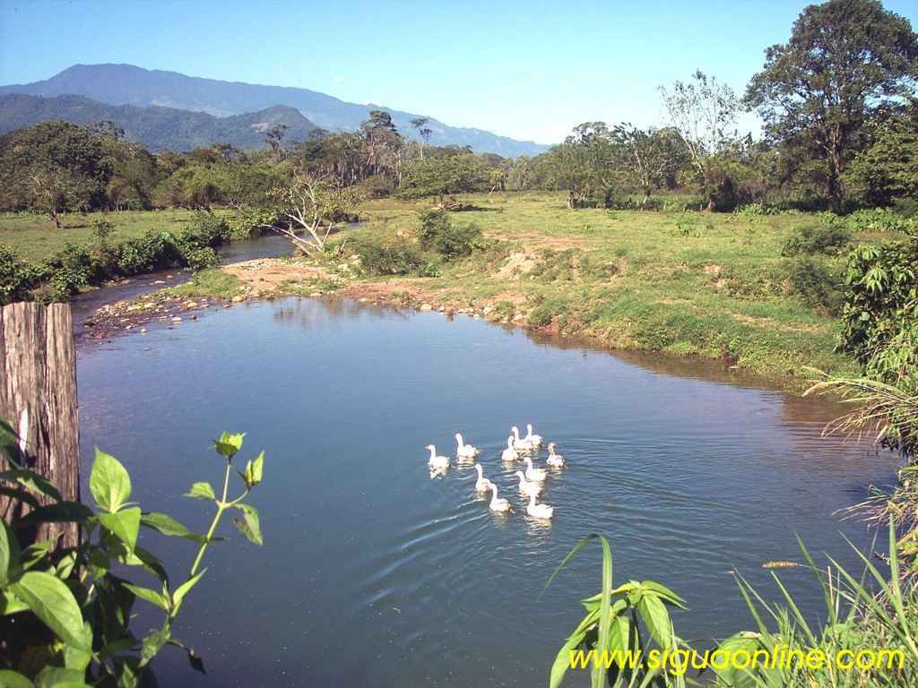 Foto de Yojoa, Cortés, Honduras, Honduras