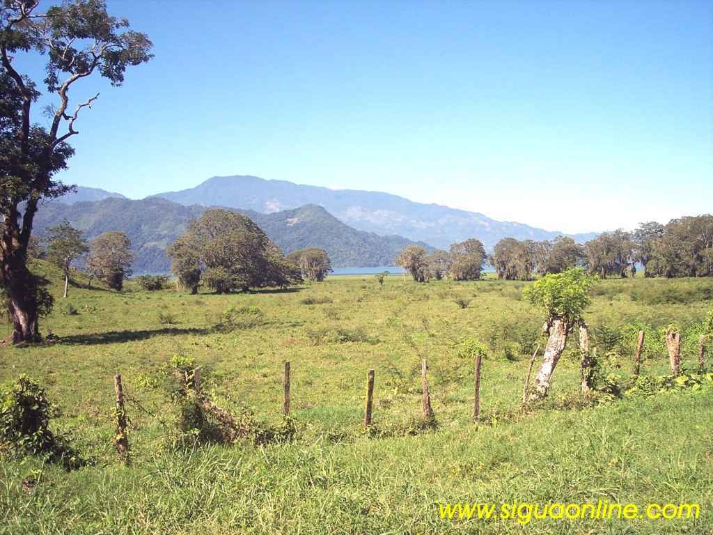 Foto de Yojoa, Cortés, Honduras
