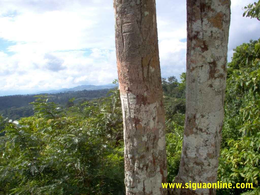 Foto de Meambar, Honduras