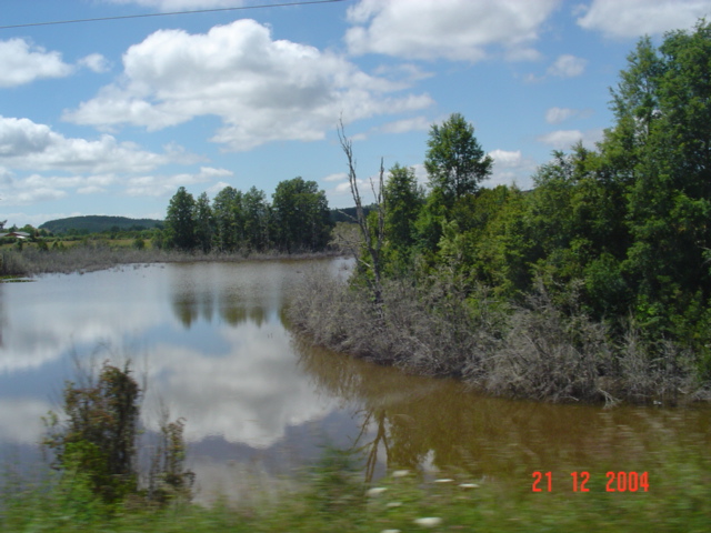 Foto de Valdivia, Chile