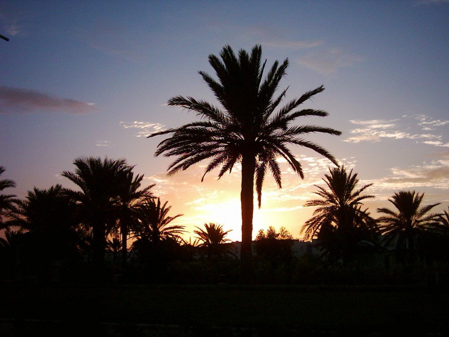 Foto de Hammamet, Túnez