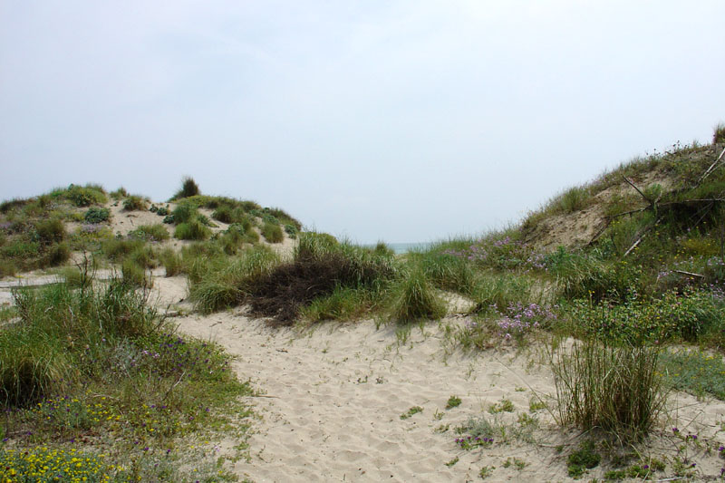 Foto de Valencia (València), España