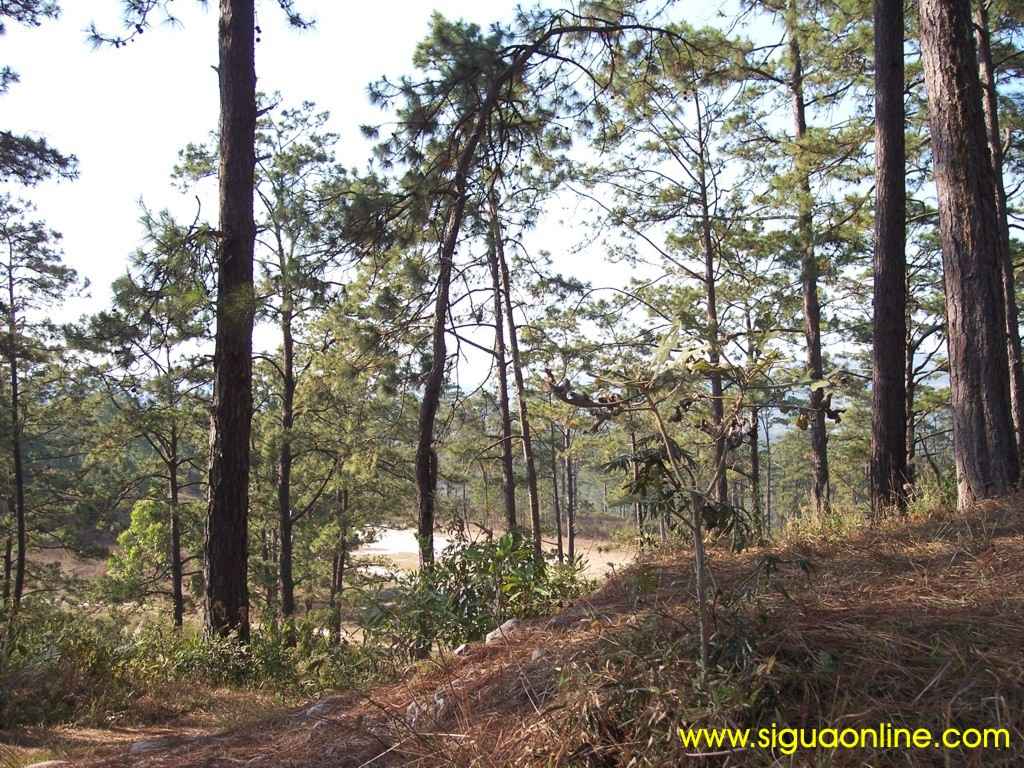 Foto de Calanterique, Honduras