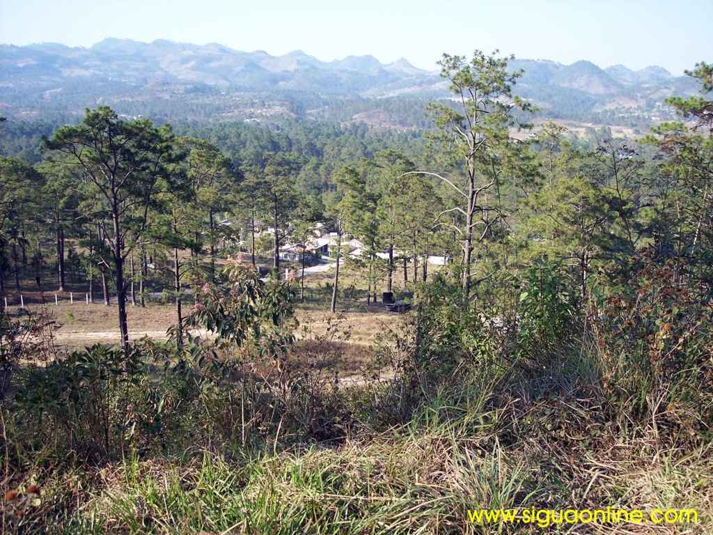 Foto de Calanterique, Honduras