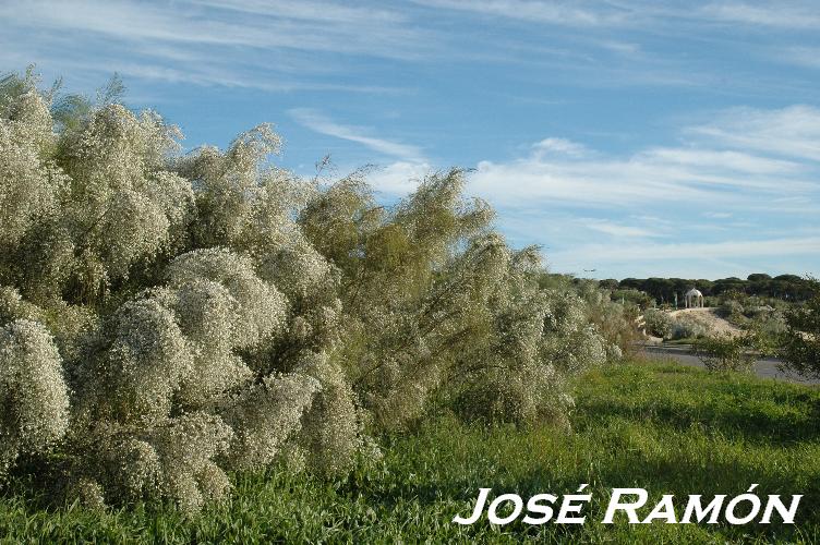 Foto de El Puerto de Santa María (Cádiz), España