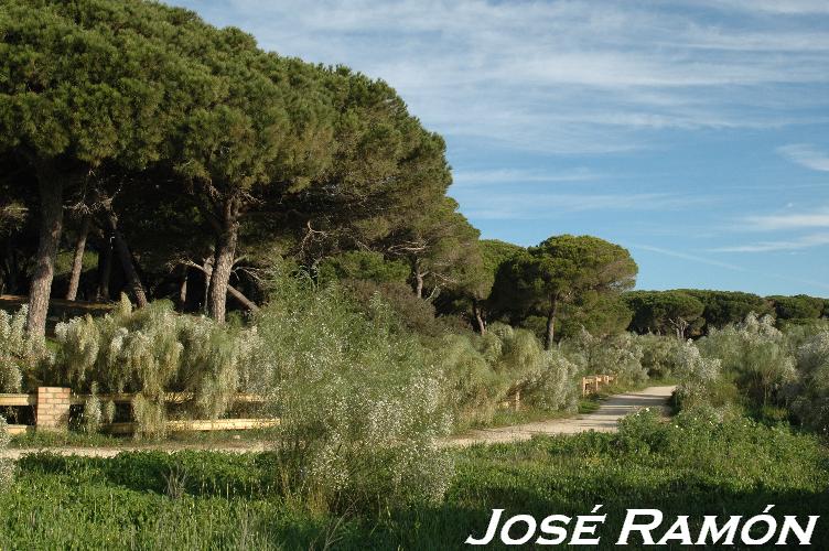 Foto de El Puerto de Santa María (Cádiz), España