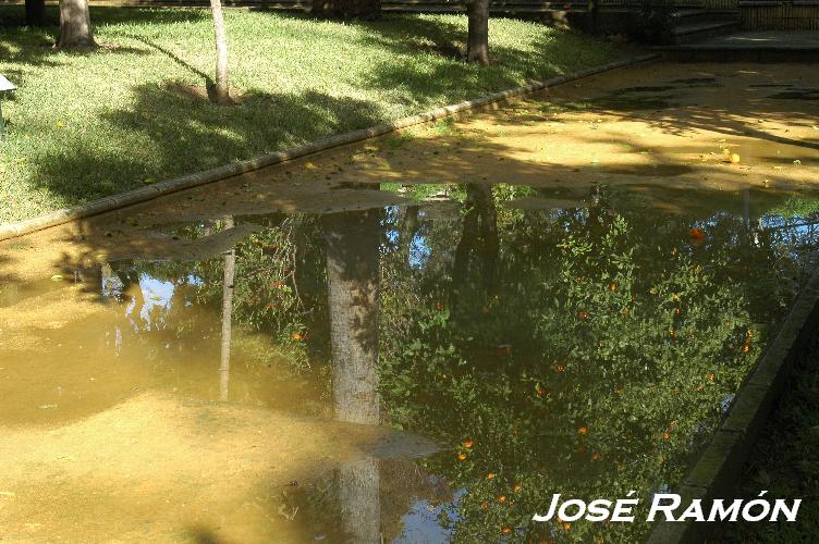 Foto de Jerez  de la Frontera (Cádiz), España