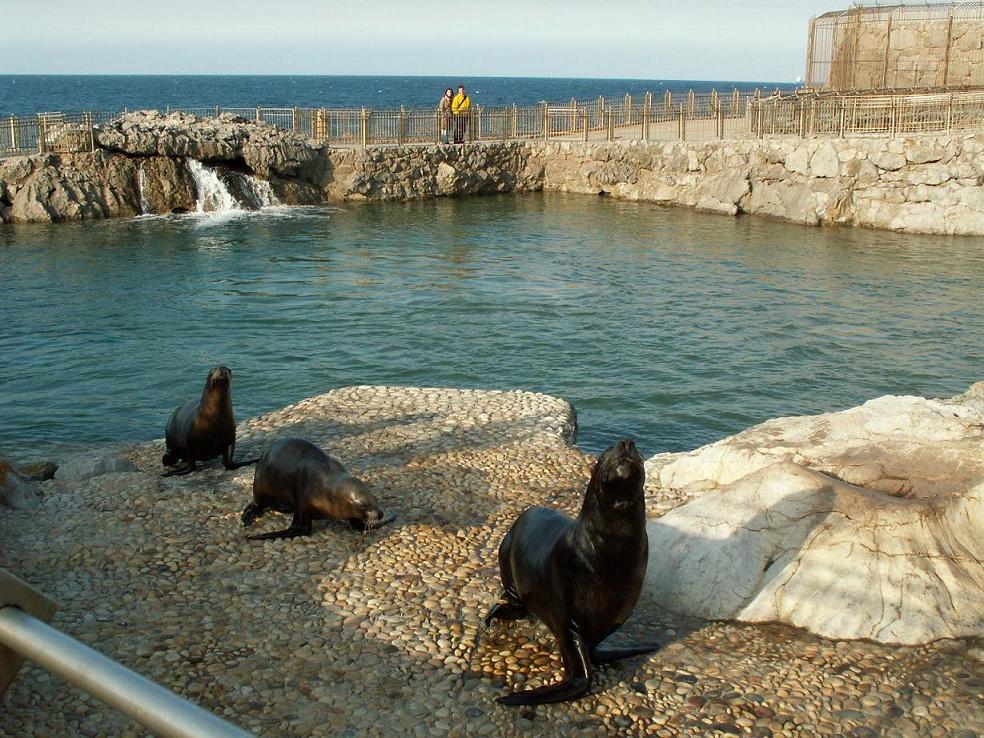 Foto de Santander (Cantabria), España
