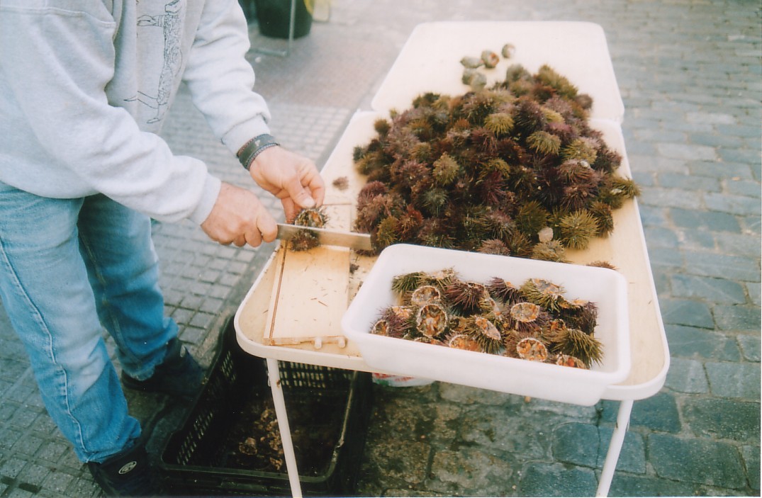 Foto de Cádiz (Andalucía), España