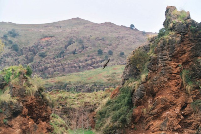 Foto de Cabarceno (Cantabria), España