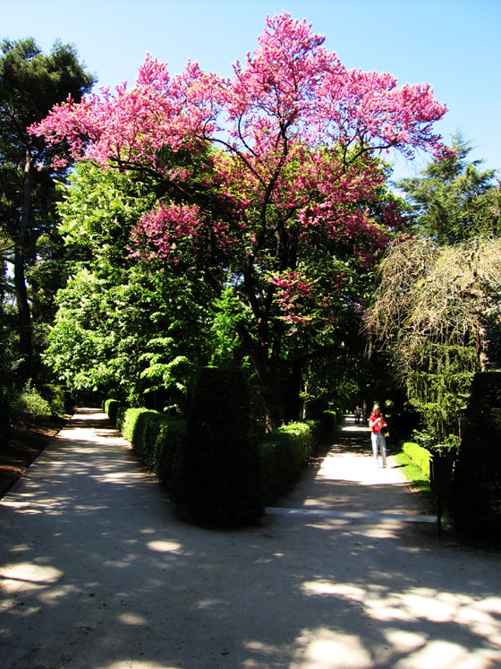 Foto de Madrid (Comunidad de Madrid), España