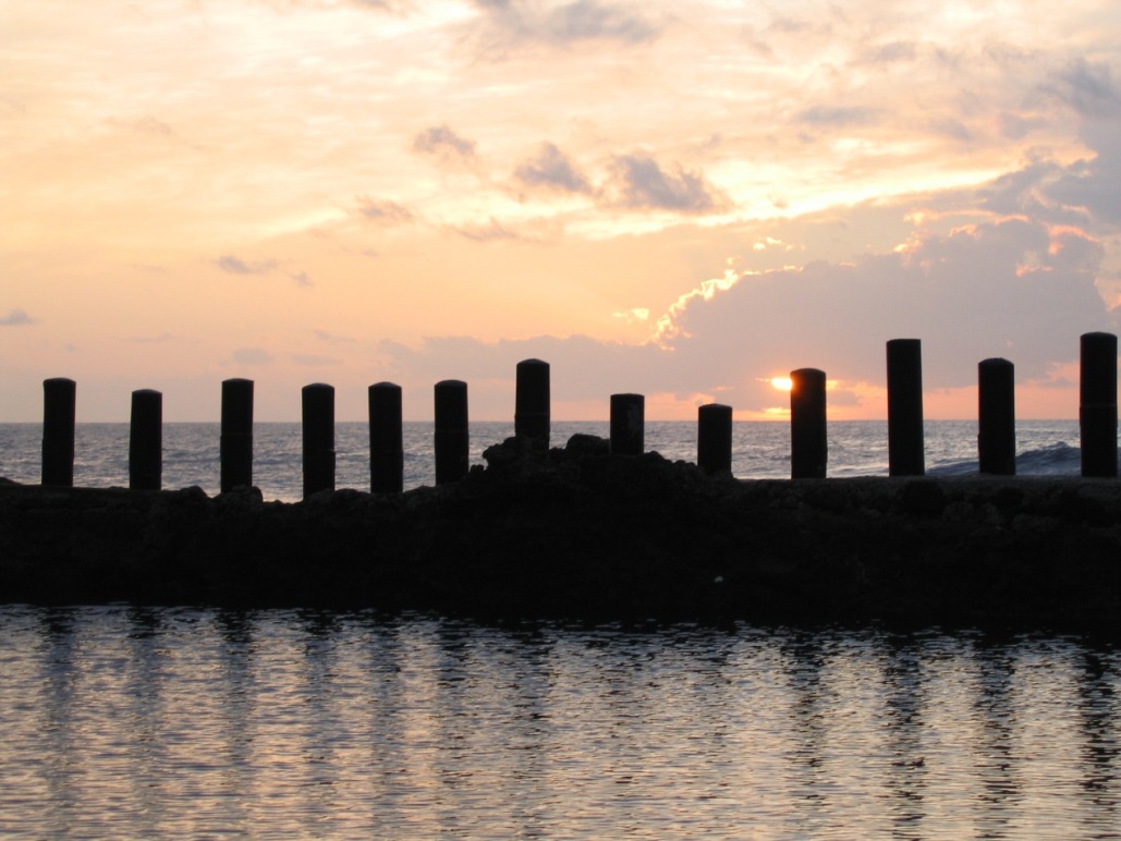 Foto de Gran Canaria (Las Palmas), España